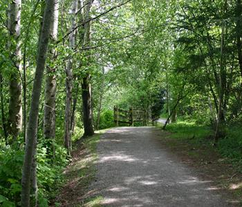 Image of Fishtrap Creek Trail