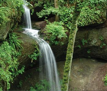Image of Bassani Trail Waterfall