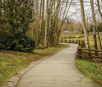 Image of Clearbrook Park Trail