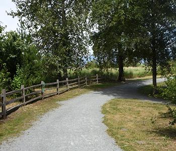 Image of Willband Creek Trail
