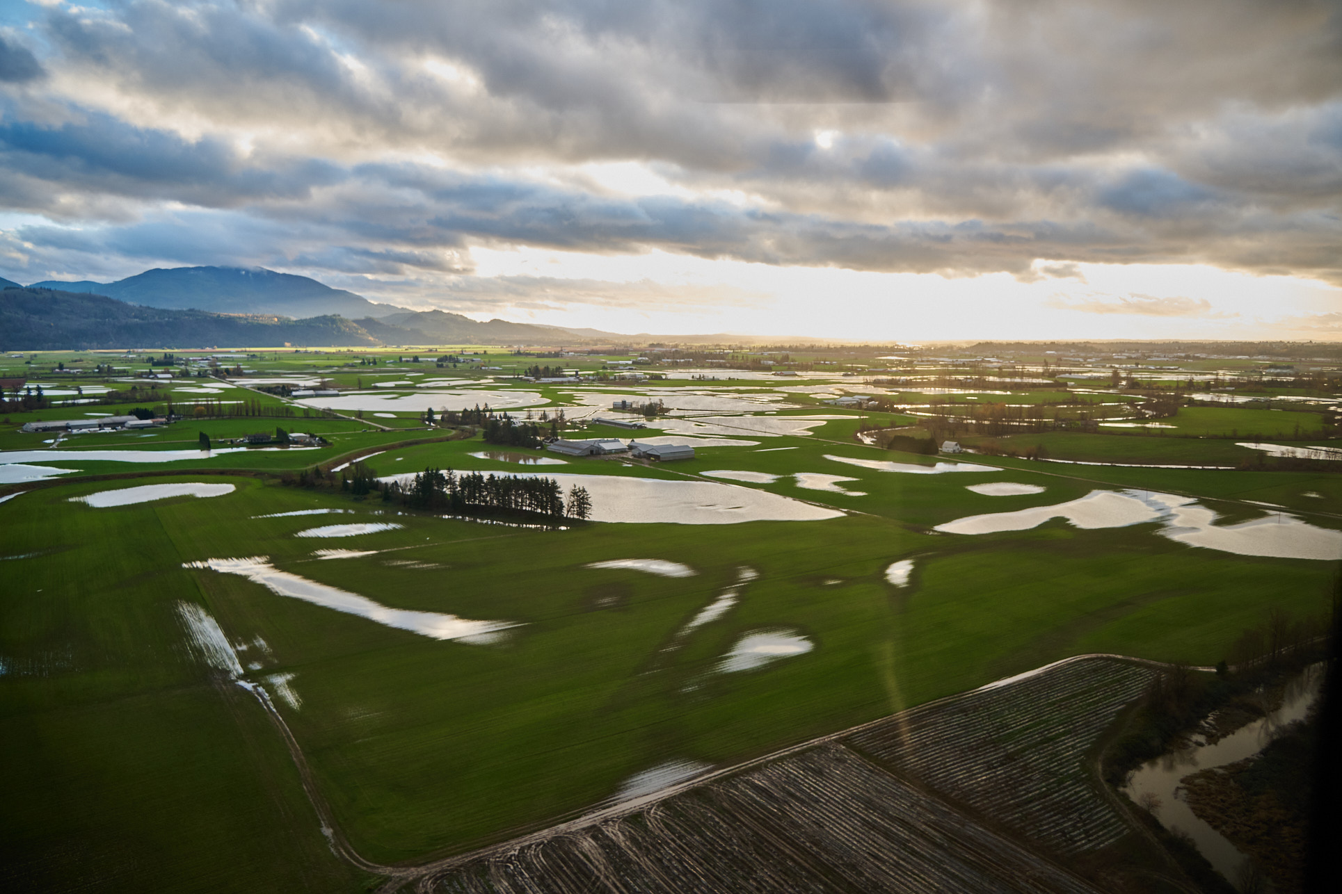 Image of flooded lands in sumas prairie
