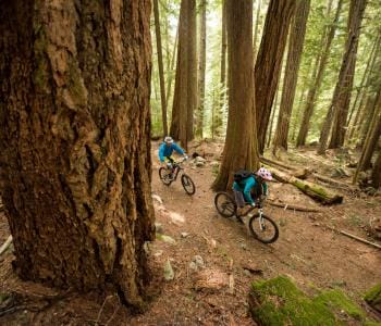Mountain bikers navigating trail in forest