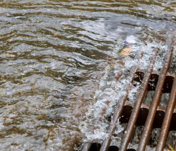 Image of water running into storm drain