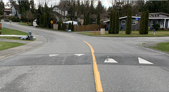 Image of Speed Humps
