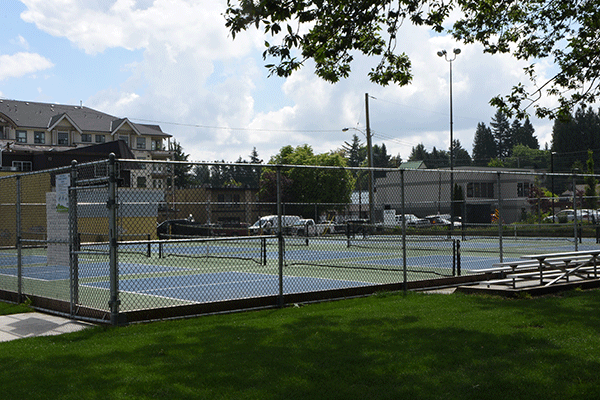 Jubilee Park courts image