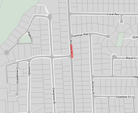 Single Lane, Alternating Traffic for Hydro and Telus Utility Installation on Princess Street