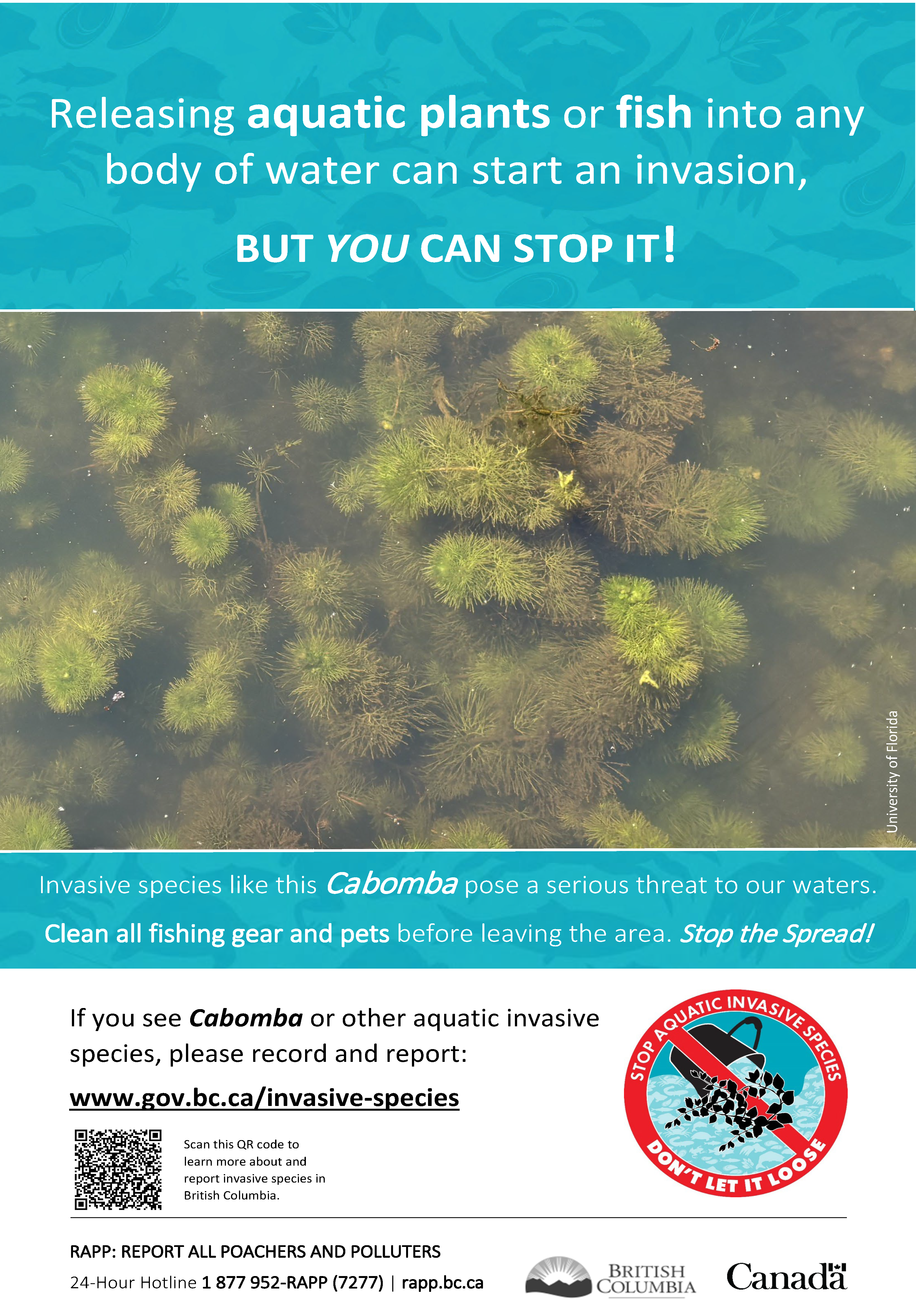 Poster on Invasive Species