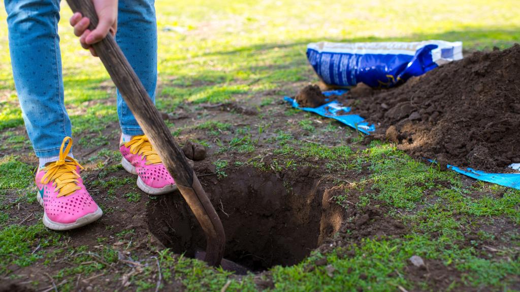 The City of Abbotsford has automated its BC 1 Call process.