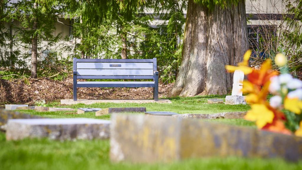 bench in a cemetery