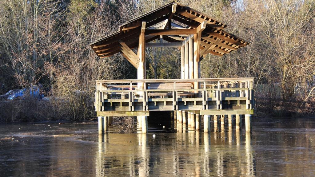 Fishtrap Creek shelter