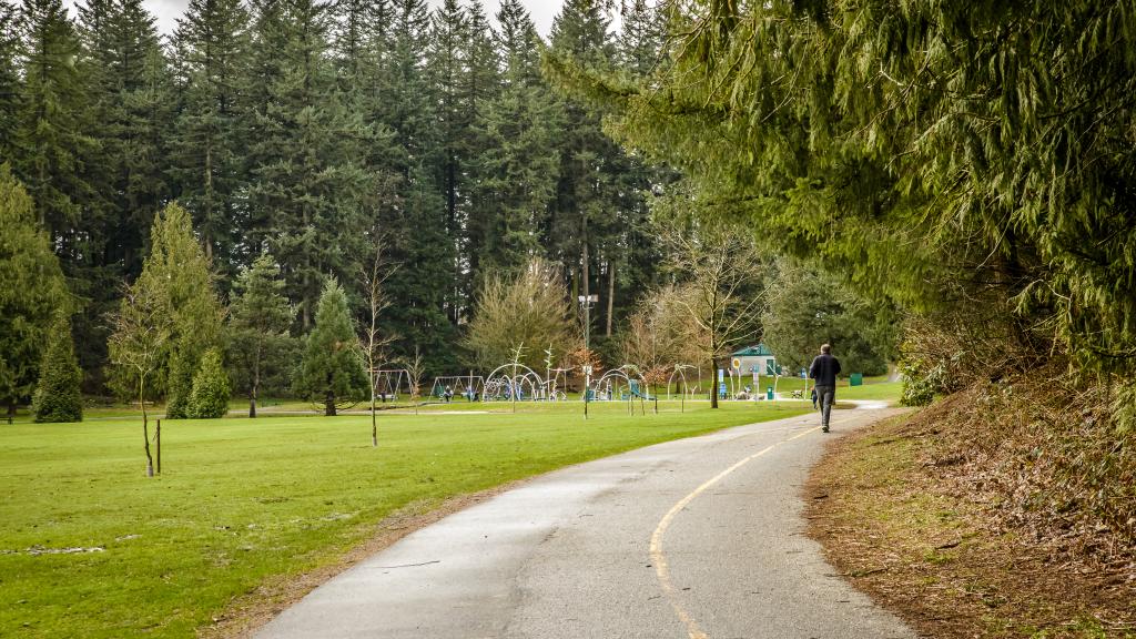 Pathway at Mill Lake