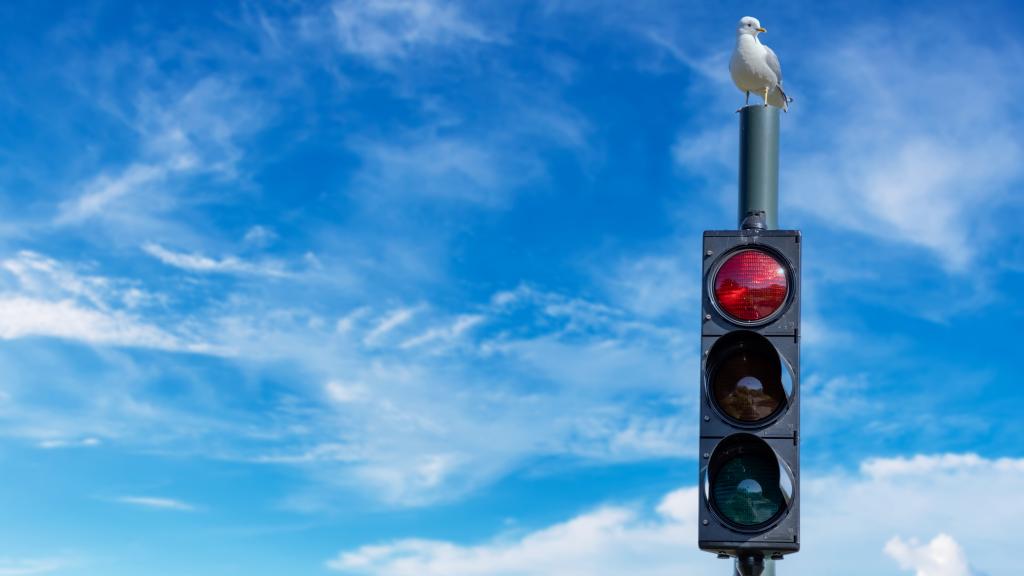 Traffic Signal on red