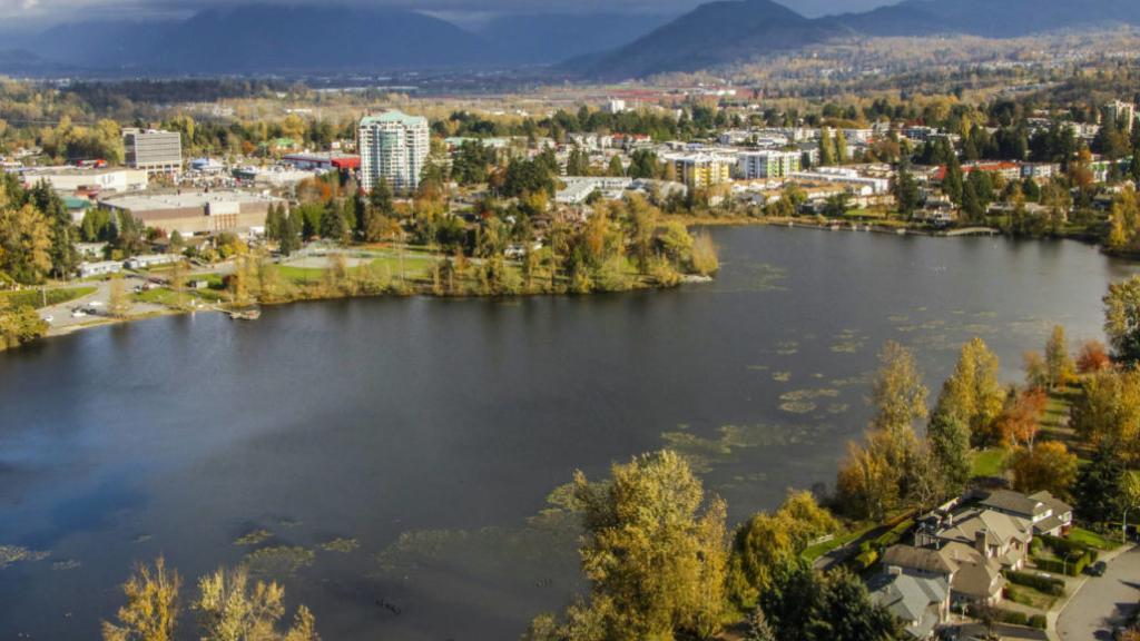 Aerial view of Mill Lake