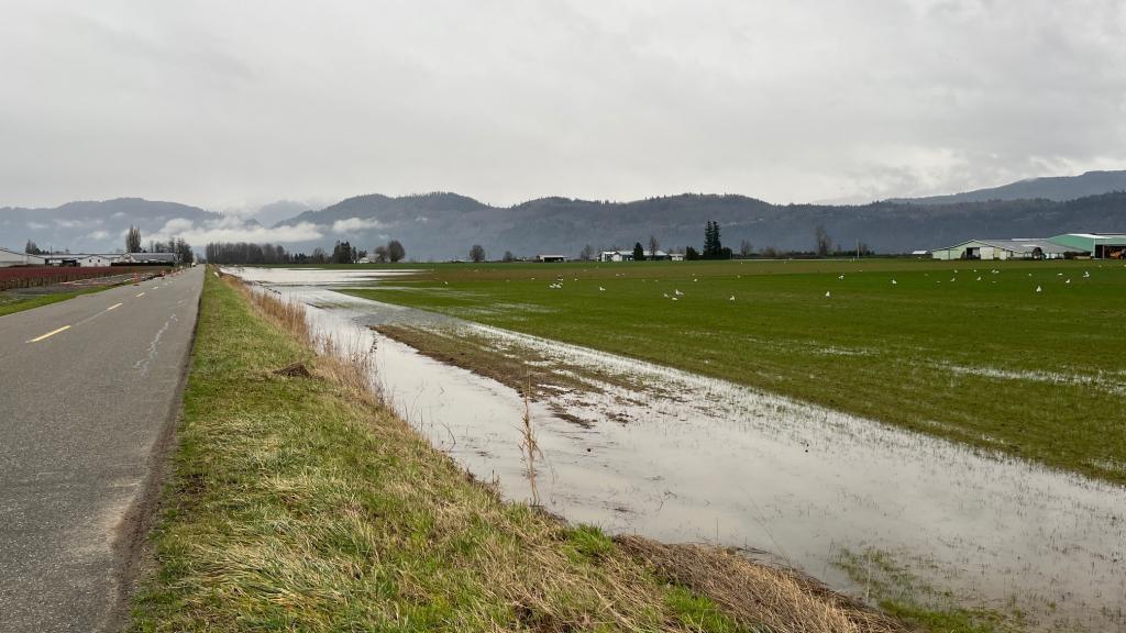 Sumas Prairie flooding