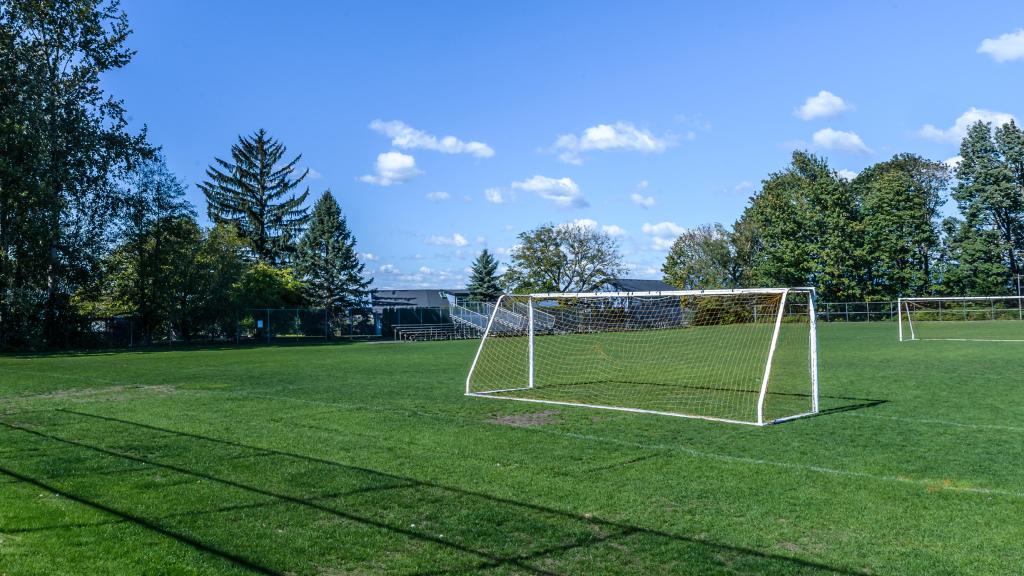 A wide outdoor soccer field with a single white goalpost positioned on green grass, bordered by tall trees and a few buildings in the background. The sky is bright blue with small scattered clouds, and the field appears well-maintained.