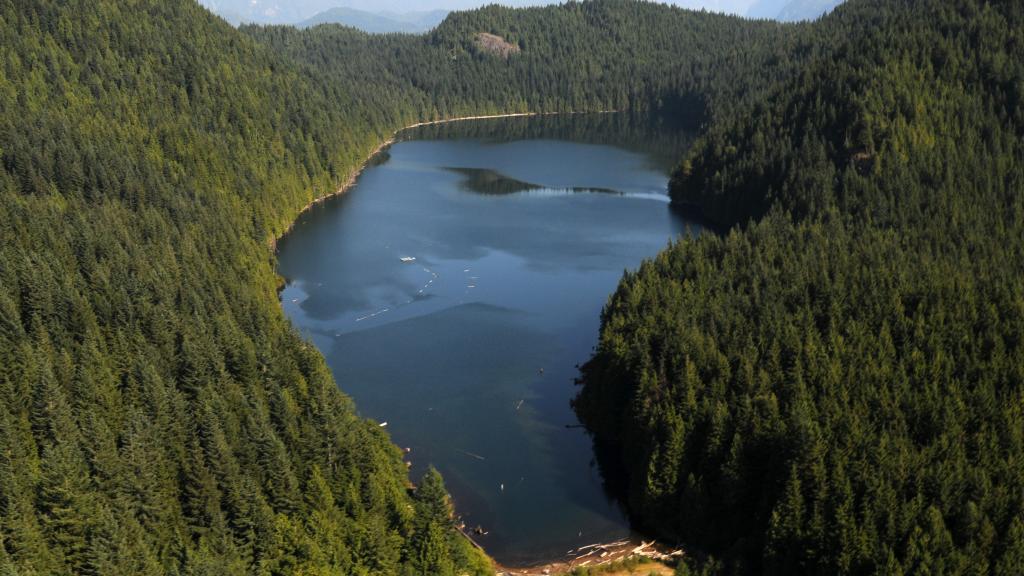 Cannell Lake