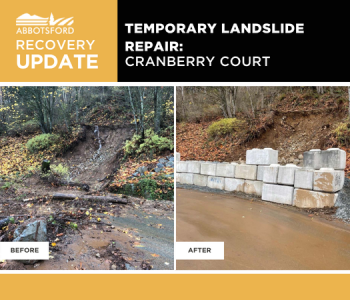 Image of Cranberry Court Repair
