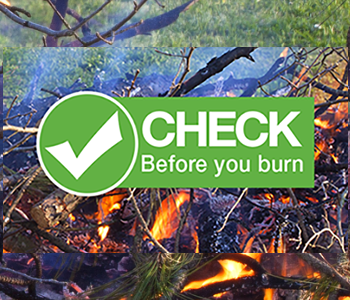 Check Before You Burn
