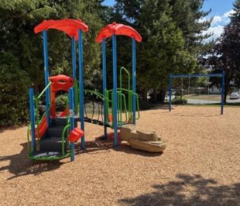 Williams Park Complete Playground