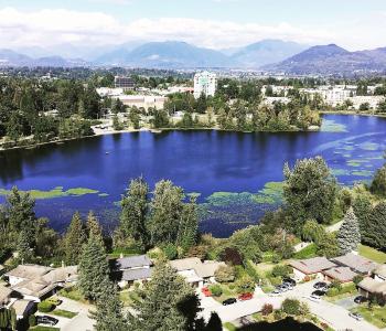 Mill Lake Aerial view