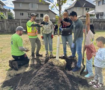 People planting a tree