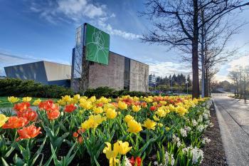 Image of Flower Garden