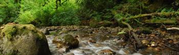 Image of Stream