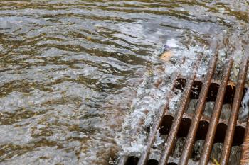 Image of water running into storm drain