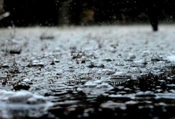 Image of Rain
