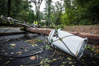Image of Down Power Line
