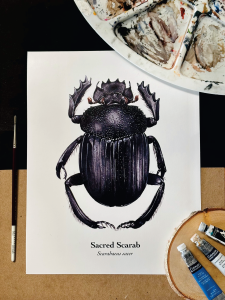 image of painted bug